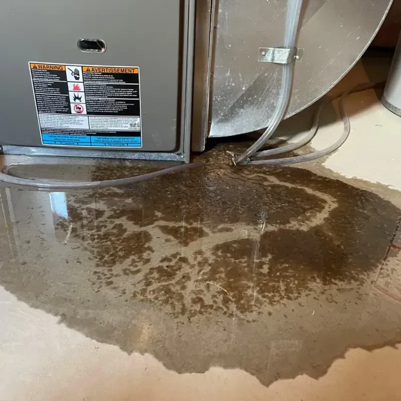 Appliance Leak Cleanup in Rockford, IL